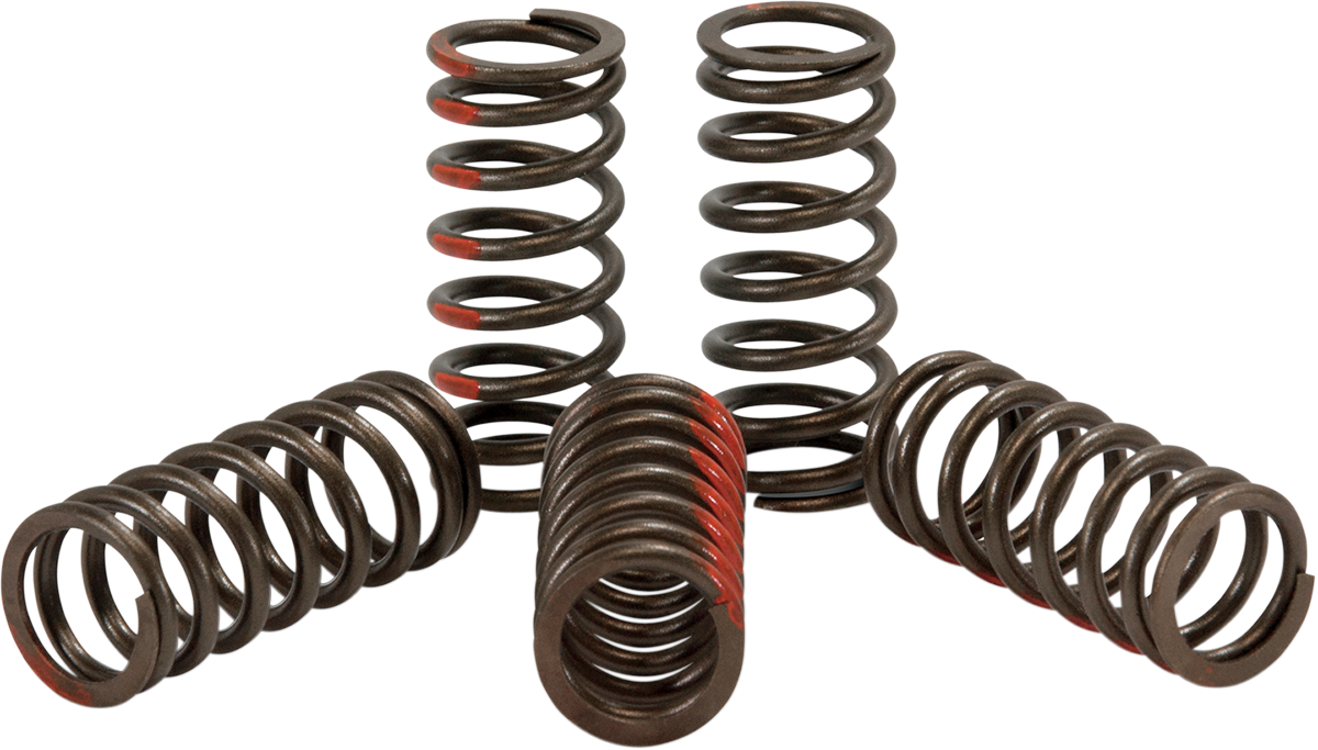 PRO CIRCUIT Clutch Springs - 250 SX-F CST09250