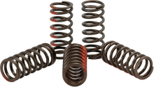 PRO CIRCUIT Clutch Springs - 250 SX-F CST09250