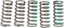 PRO CIRCUIT Clutch Springs - KX 450F CSK19450-CS