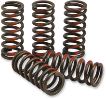 PRO CIRCUIT Clutch Springs - 85 SX CST13085