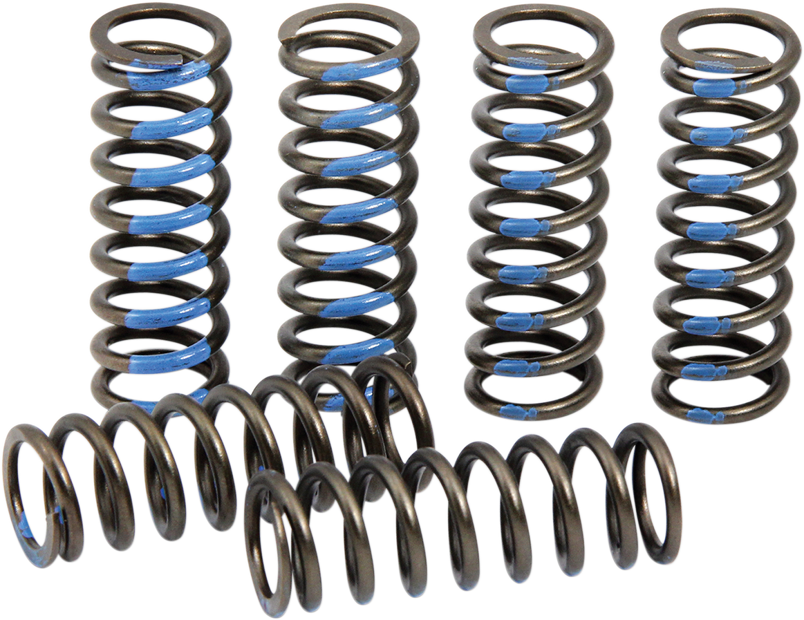 PRO CIRCUIT Clutch Springs - YZ 250F CSY19250-CS