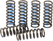 PRO CIRCUIT Clutch Springs - YZ 250F CSY19250-CS