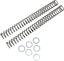 RACE TECH Fork Springs - 0.44 kg/mm FRSP 444744