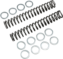 RACE TECH Fork Springs - 0.95 kg/mm FRSP S3825095