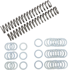 RACE TECH Fork Springs - 1.10 kg/mm FRSP S3825110