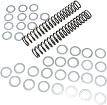 RACE TECH Fork Springs - 1.00 kg/mm FRSP S3825100