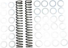 RACE TECH Fork Springs - 1.20 kg/mm FRSP S3825120