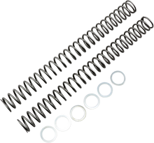 RACE TECH Fork Springs - 0.42 kg/mm FRSP 444542