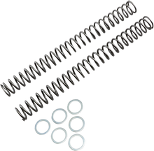 RACE TECH Fork Springs - 0.46 kg/mm FRSP 444546
