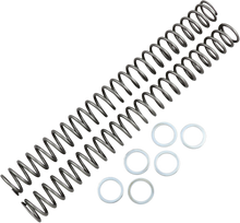 RACE TECH Fork Springs - 0.48 kg/mm FRSP 444548