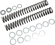 RACE TECH Fork Springs - 1.20 kg/mm FRSP S4031120