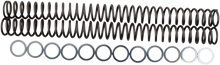 RACE TECH Fork Springs - 0.52 kg/mm FRSP 435152