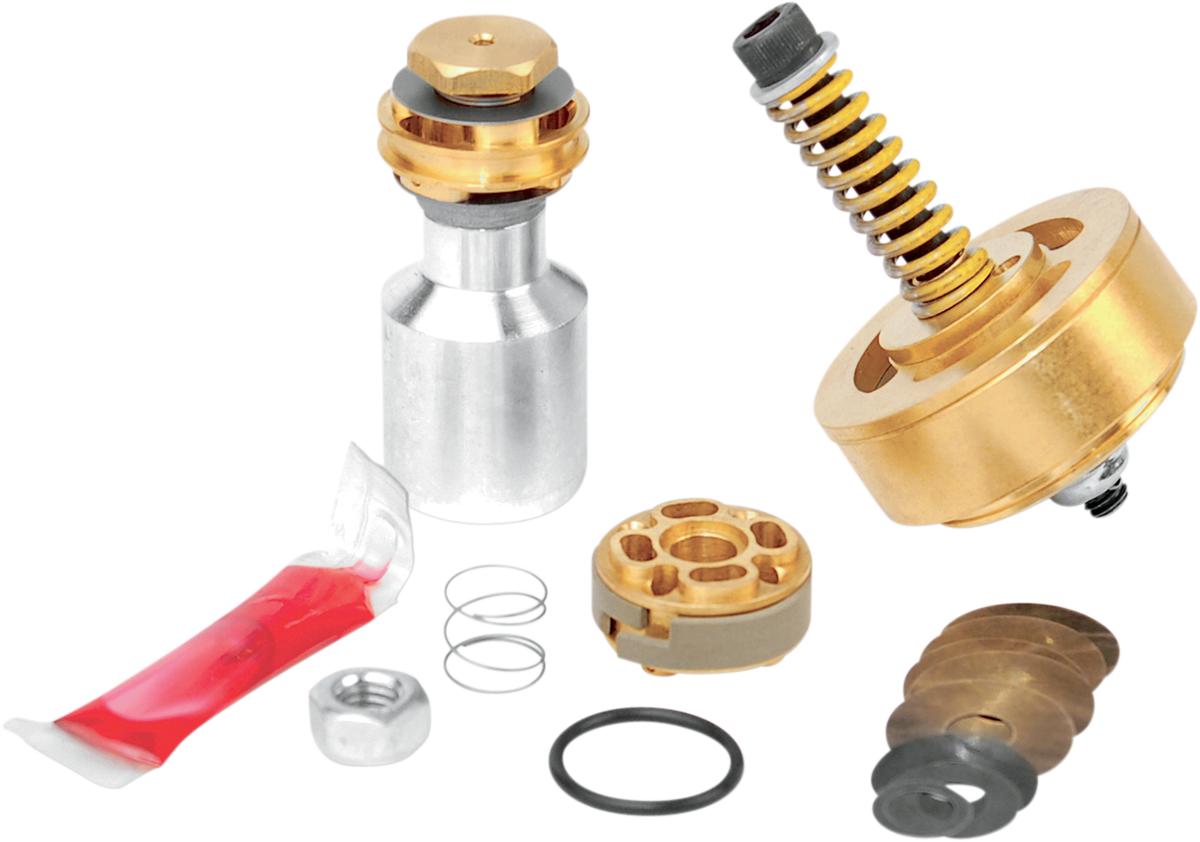 RACE TECH Fork Kit - 20 mm - Gold Valve - Standard FMGV S2048C