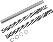 RACE TECH Fork Springs - 0.42 kg/mm FRSP 364742