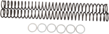 RACE TECH Fork Springs - 0.42 kg/mm FRSP 414642