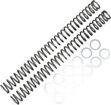 RACE TECH Fork Springs - 0.44 kg/mm FRSP 414644