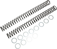 RACE TECH Fork Springs - 0.46 kg/mm FRSP 414646