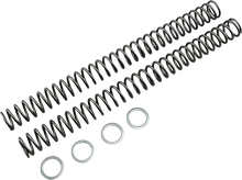 RACE TECH Fork Springs - 0.46 kg/mm FRSP 414746