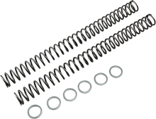 RACE TECH Fork Springs - 0.46 kg/mm FRSP 435146
