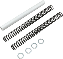 RACE TECH Fork Springs - 1.0 kg/mm FRSP S3234100
