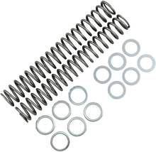 RACE TECH Fork Springs - 0.85 kg/mm FRSP S3827085