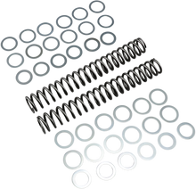 RACE TECH Fork Springs - 1.00 kg/mm FRSP S3827100