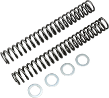 RACE TECH Fork Springs - 0.95 kg/mm FRSP S4031095