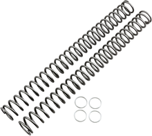 RACE TECH Shock Spring - Rear - Blue - Sport Series - Spring Rate 300 lb/in SRSP 672754