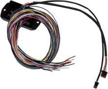 NAMZ Controller CAN Bus - FL NCBC-B01
