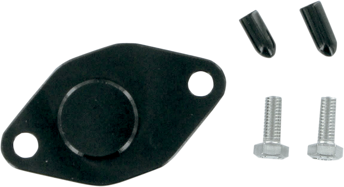 WSM Crank Case Block Off Plate - Polaris 011-208
