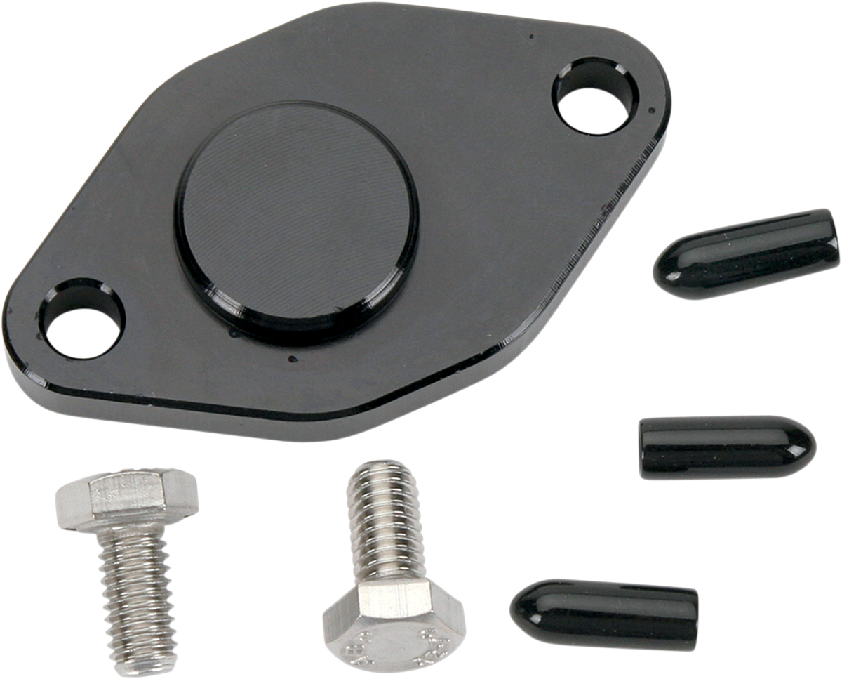 WSM Crank Case Block Off Plate - Yamaha 011-216