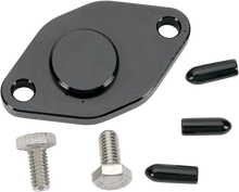 WSM Crank Case Block Off Plate - Yamaha 011-216
