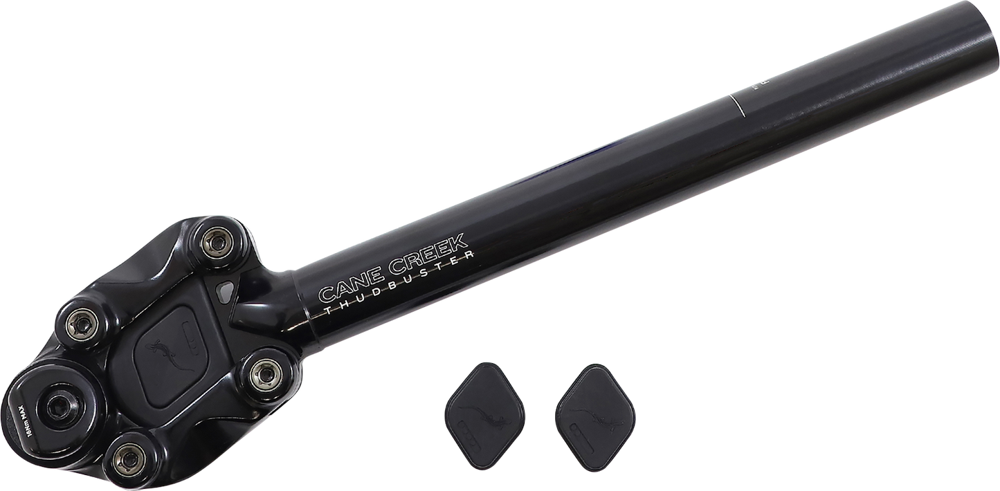 CANE CREEK CYCLING COMPONENTS Thudbuster ST Seat Post - 30.9 mm SP6A309