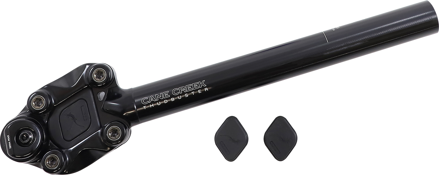 CANE CREEK CYCLING COMPONENTS Thudbuster ST Seat Post - 31.6 mm SP6A316