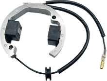 RICK'S MOTORSPORT ELECTRIC Stator - '01-'23 Husqvarna/KTM 21-0093