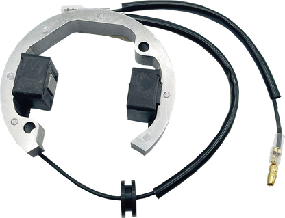RICK'S MOTORSPORT ELECTRIC Stator - '01-'23 Husqvarna/KTM 21-0093