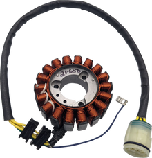 RICK'S MOTORSPORT ELECTRIC Stator - '04-'07 TRX400 FourTrax Rancher 21-650