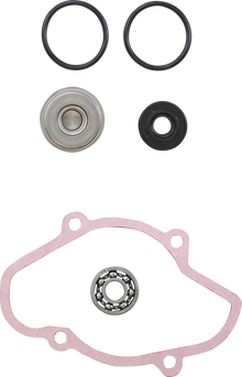 VERTEX Water Pump Repair Kit - Ski-Doo 721312