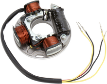 WSM Stator - Sea-Doo 004-202