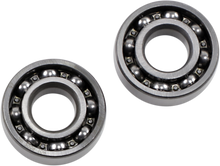 HOT RODS Counter Balancer Bearing Kit - Polaris HR00011