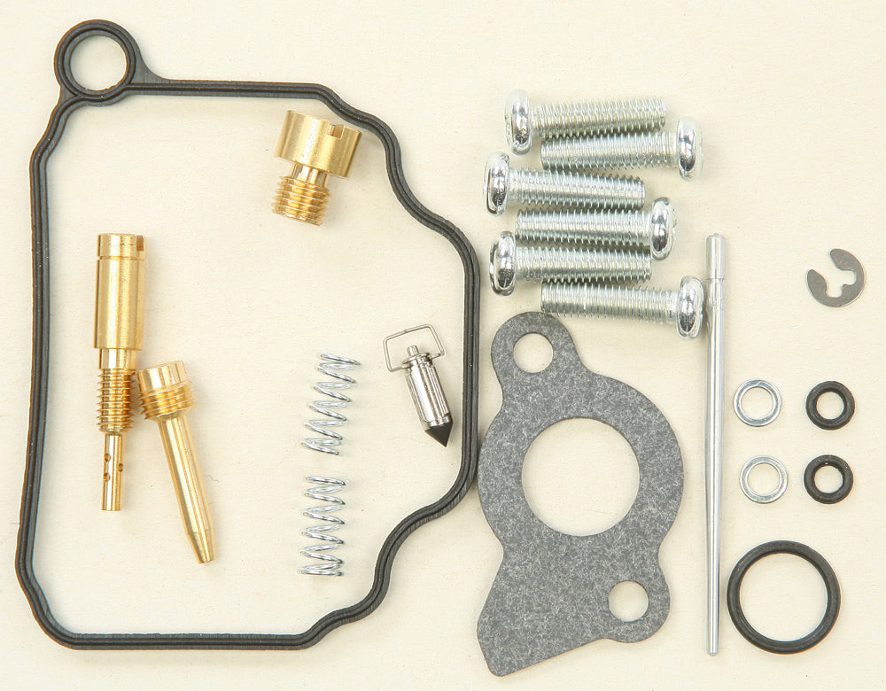 Carburetor Repair Kit