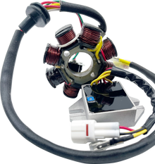 RICK'S MOTORSPORT ELECTRIC Lithium-Ion Compatible Charging Kit - Husqvarna/KTM 14-99-900H