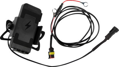 RIDEPOWER Phone Charging Mount - Quick Disconnect - Ball Mount RPINDTVMOUNTQD