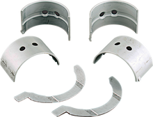 WSM Balance Shaft Bearing Kit - Sea-Doo 010-193K