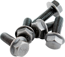 WSM Speed Sensor Magnet Bolt - Pack of Six 014-907