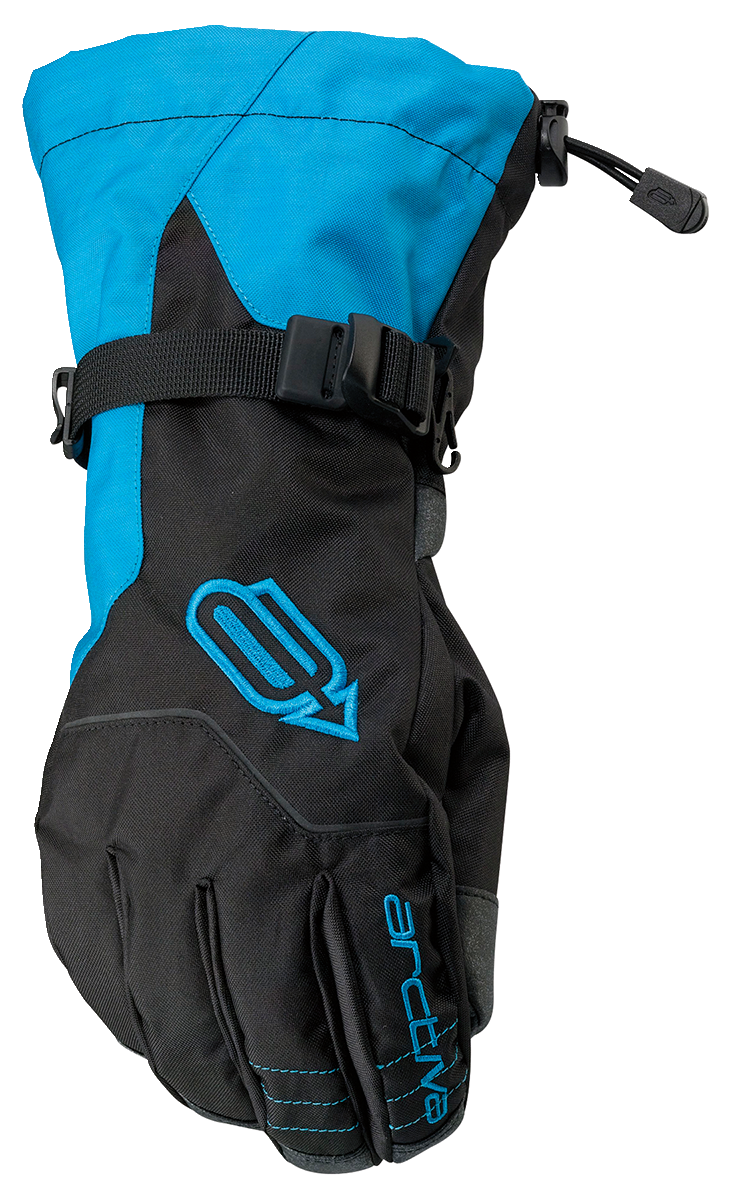 ARCTIVA Pivot Classic Gloves - Black/Blue - Large 3340-1412