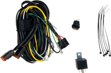 HERETIC Wire Harness - Dual - 280 W 20022