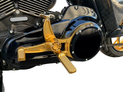 HAWG HALTERS Mid Control Conversion Kit - Gold - Knurled Pegs - FLH/FLT MCK-FH16GS-FK