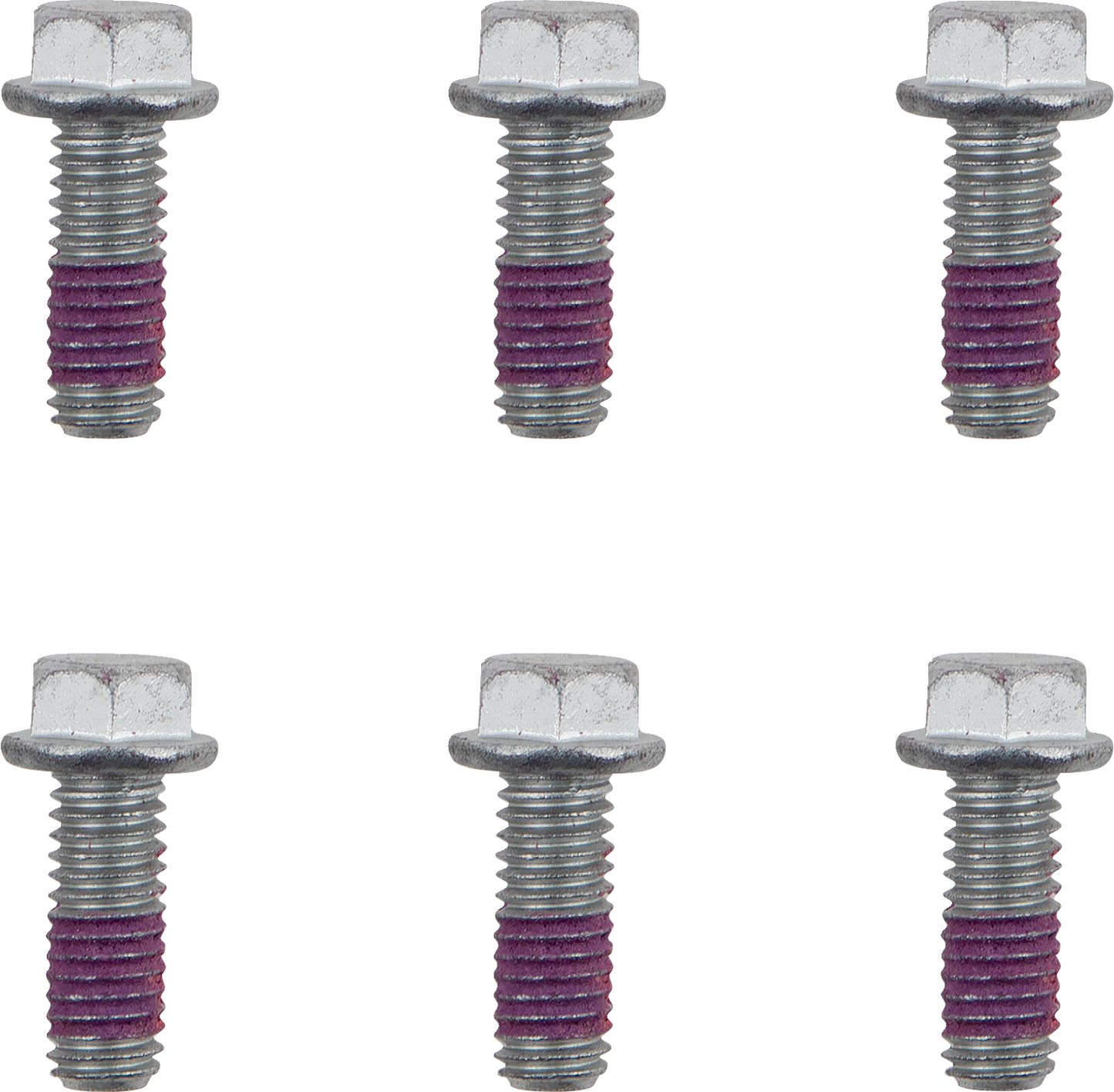 MOTO-MASTER Bolts - Brake Rotor - Torx - M6 x 16 - 6-Pack 012003-PU