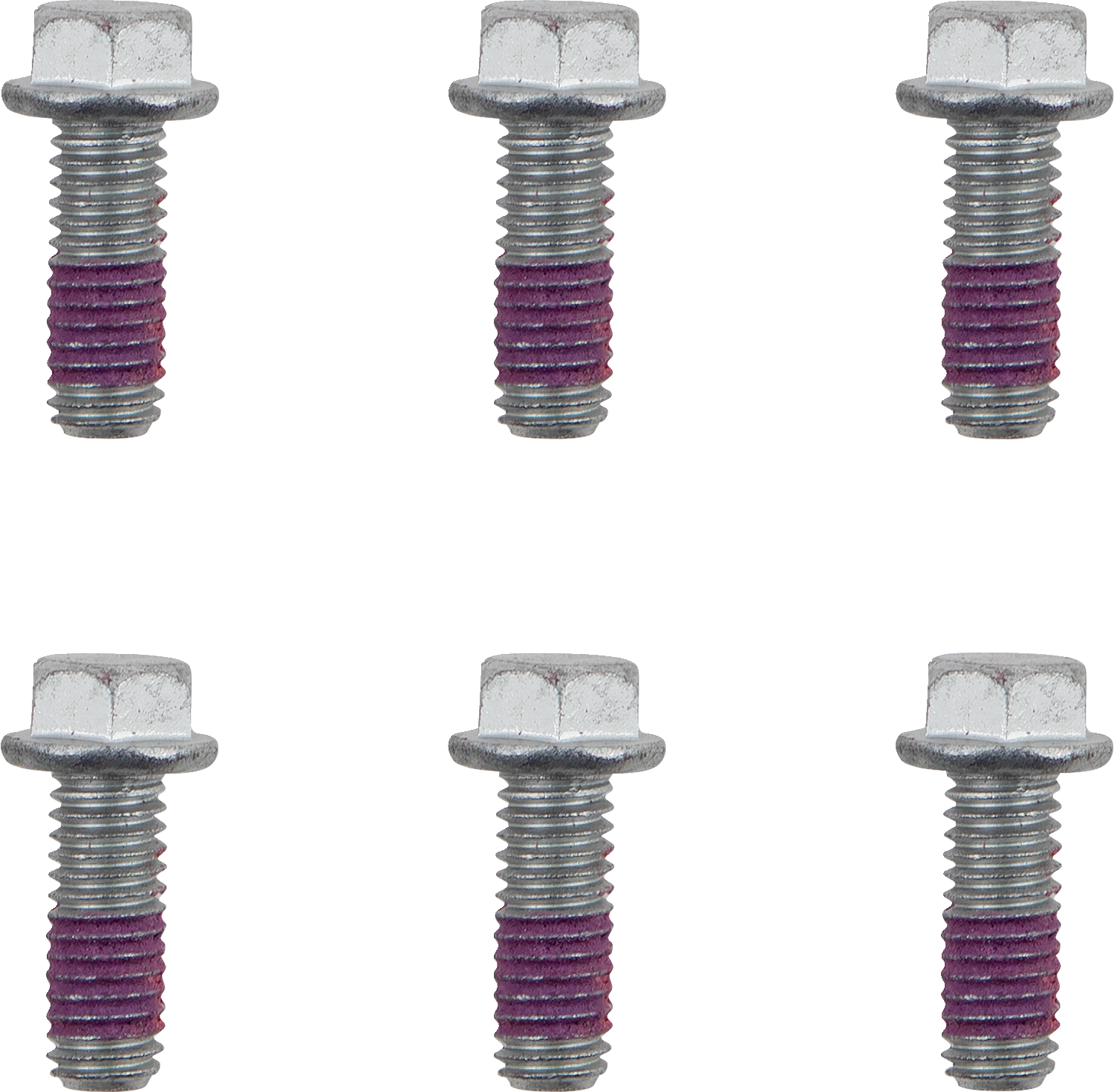 MOTO-MASTER Bolts - Brake Rotor - Torx - M6 x 16 - 6-Pack 012003-PU